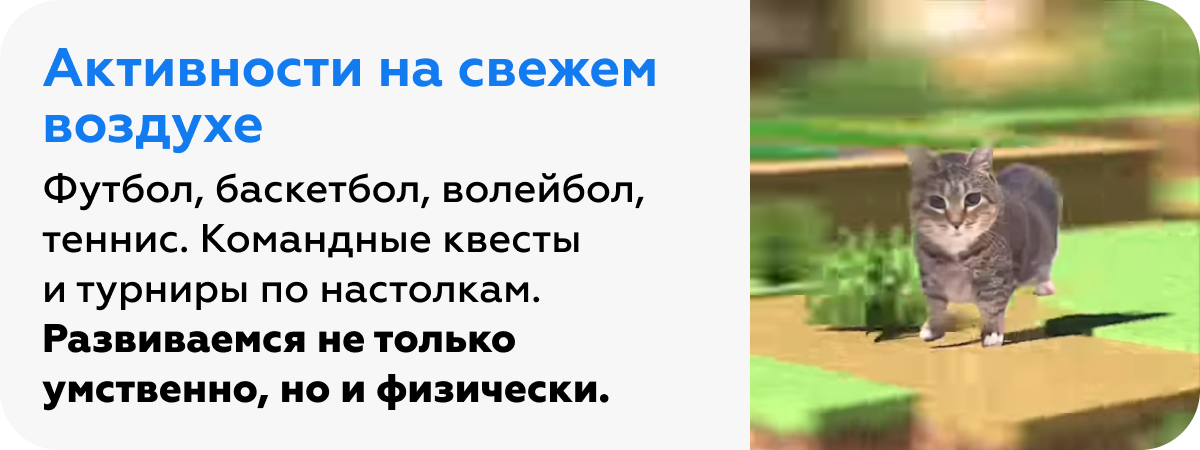 Активности на свежем воздухе